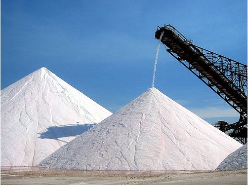bulk salt Philadelphia 19143